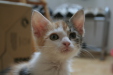 Thumbnail img_5239.jpg 