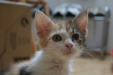 Thumbnail img_5240.jpg 