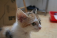 Thumbnail img_5242.jpg 
