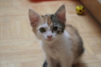 Thumbnail img_5252.jpg 