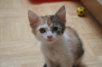 Thumbnail img_5253.jpg 