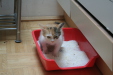 Thumbnail img_5255.jpg 