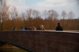Thumbnail img_4461.jpg 