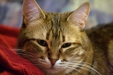 Thumbnail img_8049.jpg 