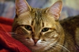 Thumbnail img_8050.jpg 