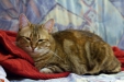 Thumbnail img_8051.jpg 
