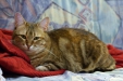 Thumbnail img_8052.jpg 
