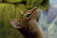 Thumbnail img_8073.jpg 