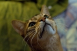 Thumbnail img_8074.jpg 