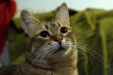 Thumbnail img_8105.jpg 