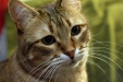 Thumbnail img_8107.jpg 