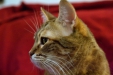 Thumbnail img_8130.jpg 