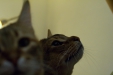 Thumbnail img_8137.jpg 