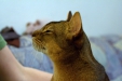 Thumbnail img_8145.jpg 