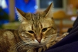 Thumbnail img_8149.jpg 