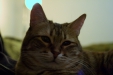 Thumbnail img_8154.jpg 