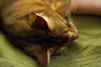 Thumbnail img_8161.jpg 