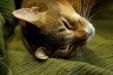 Thumbnail img_8162.jpg 
