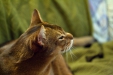 Thumbnail img_8167.jpg 