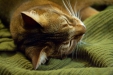 Thumbnail img_8175.jpg 