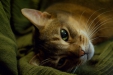 Thumbnail img_8176.jpg 