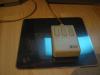Thumbnail IMG_5337.JPG 