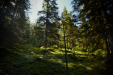 Thumbnail _mg_6978.jpg 