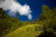 Thumbnail _mg_6992.jpg 