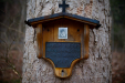 Thumbnail _mg_0672.jpg 