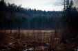 Thumbnail _mg_5847.jpg 