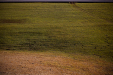 Thumbnail _mg_5926.jpg 