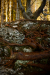 Thumbnail _mg_6002.jpg 