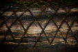 Thumbnail _mg_6020.jpg 