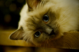 Thumbnail _mg_6125.jpg 