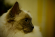 Thumbnail _mg_6129.jpg 