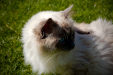 Thumbnail _mg_6245.jpg 