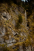 Thumbnail _mg_6412.jpg 