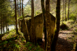 Thumbnail _mg_6473.jpg 