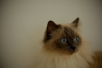 Thumbnail _mg_3118.jpg 