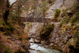 Thumbnail _mg_3231.jpg 
