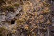 Thumbnail _mg_3266.jpg 