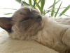 Thumbnail 20160515_153632.jpg 