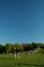 Thumbnail img_0636.jpg 