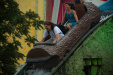 Thumbnail img_5363.jpg 