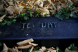 Thumbnail img_8795.jpg 