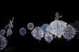 Thumbnail _mg_8235.jpg 