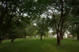 Thumbnail img_2860.jpg 