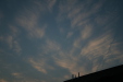Thumbnail img_5356.jpg 
