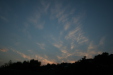 Thumbnail img_5358.jpg 