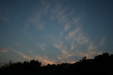 Thumbnail img_5359.jpg 